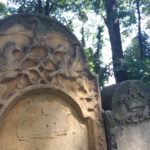 20180812_130026-150x150 Blog