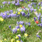 DSCN3660-150x150 Blog