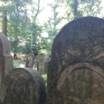 Macewy-na-Cmentarzu-Nowym-150x150 Blog