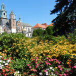 katedra-na-wawelu-150x150 Blog