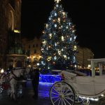 choinka-na-krakowskim-rynku-150x150 Blog