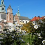 slajd-41-150x150 Blog