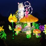 IMG-20201111-WA0004-150x150 Blog