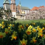 slajd-28a-150x150 Blog